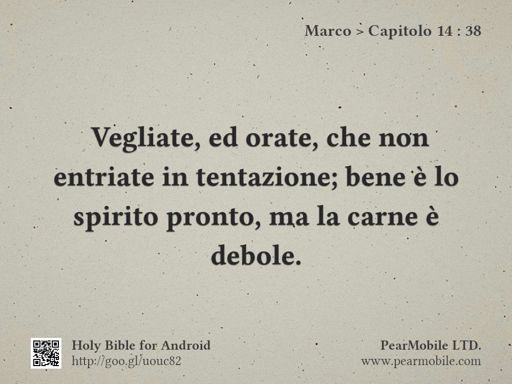 Marco, Capitolo 14:38
